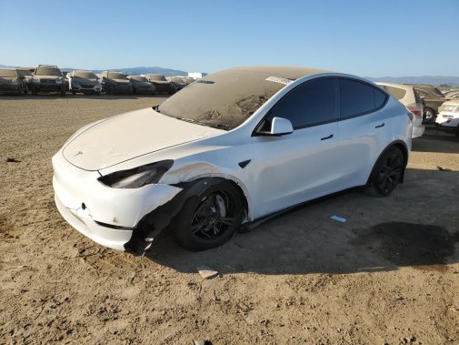 2025 TESLA MODEL Y