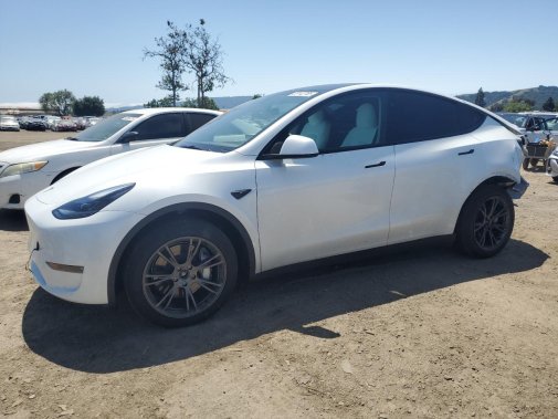 2024 TESLA MODEL Y