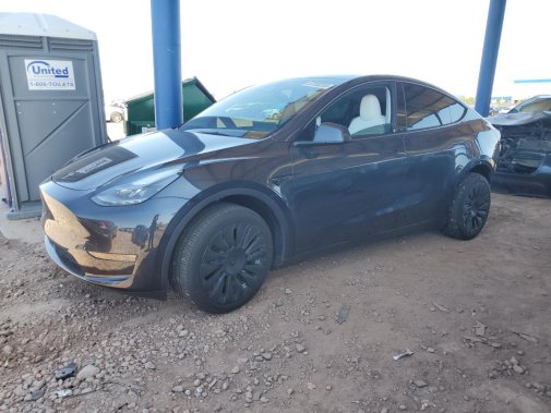 2024 TESLA MODEL Y