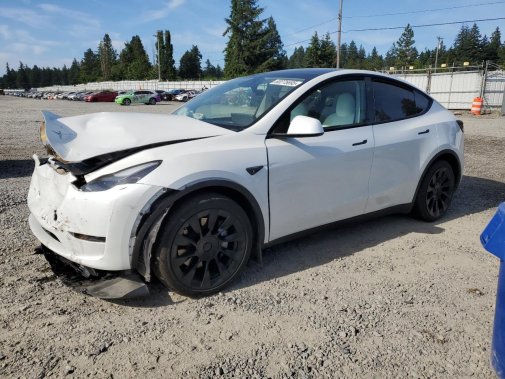 2024 TESLA MODEL Y