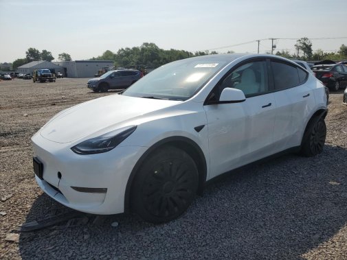 2024 TESLA MODEL Y