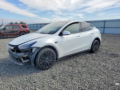 2024 TESLA MODEL Y