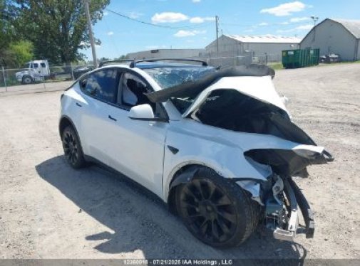 2020 TESLA MODEL Y