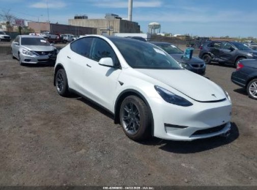 2025 TESLA MODEL Y