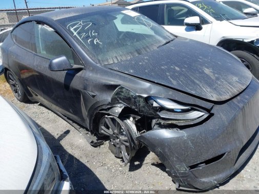 2025 TESLA MODEL Y