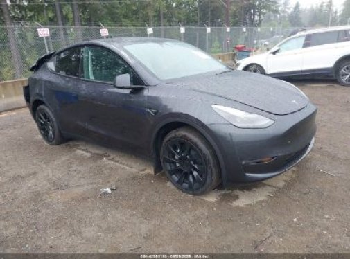 2025 TESLA MODEL Y