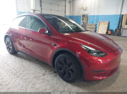 2025 TESLA MODEL Y