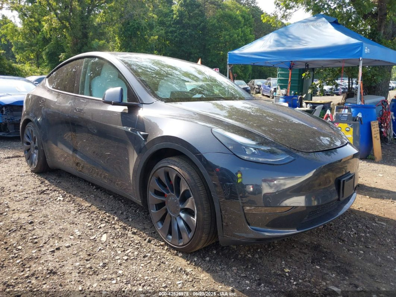 2025 TESLA MODEL Y Performance
