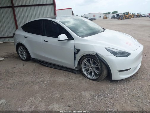 2024 TESLA MODEL Y