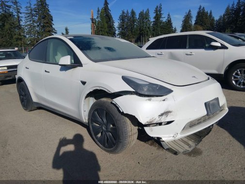2025 TESLA MODEL Y